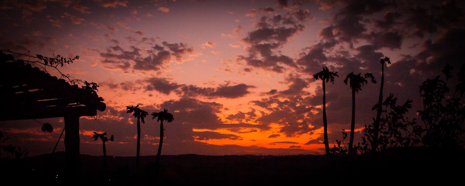 <p>A collection of interesting and unique photos from all over South Africa</p>